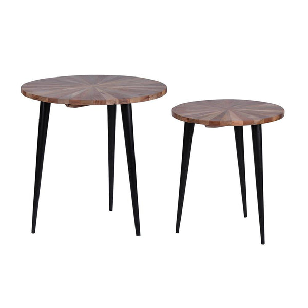 A&B Home Side Table - Set of 2 - 42904