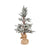 Pomeroy Winters Edge Tree-2