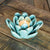 HomArt Succulent Tealight Holder - Set of 4-6