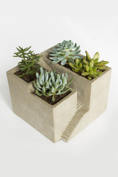 Vagabond Vintage Cement  Planter,Architectural Plant Cube III - Set of 2 | Modishstore | Planters, Troughs & Cachepots-2