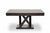 baxton studio everdon dark brown modern coffee table | Modish Furniture Store-3