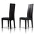 Vig Furniture Modrest Maxi Black Oak Dining Chair (Set of 2) | Modishstore | Dining Chairs