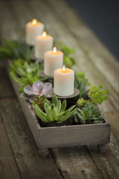 Vagabond Vintage 4 Candle Centerpiece Planter | Modishstore | Candle Holders