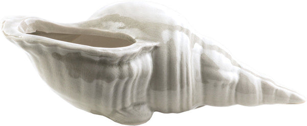 Surya Clearwater Shell - Thin | Home Accents | Modishstore-3