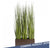 Grass: Potted Century Grass in Linear Planter, 38