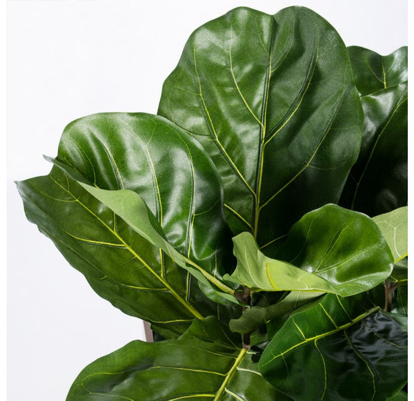 Fiddle Leaf, Linear Planter by Gold Leaf Design Group | Planters, Troughs & Cachepots | Modishstore-4