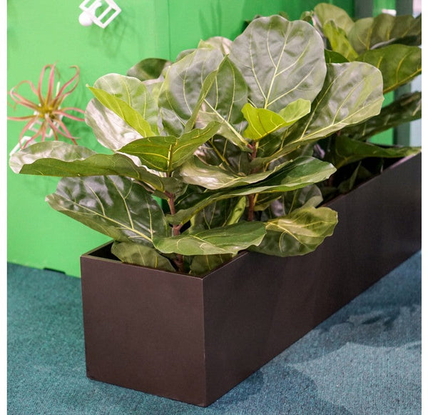 Fiddle Leaf, Linear Planter by Gold Leaf Design Group | Planters, Troughs & Cachepots | Modishstore-2