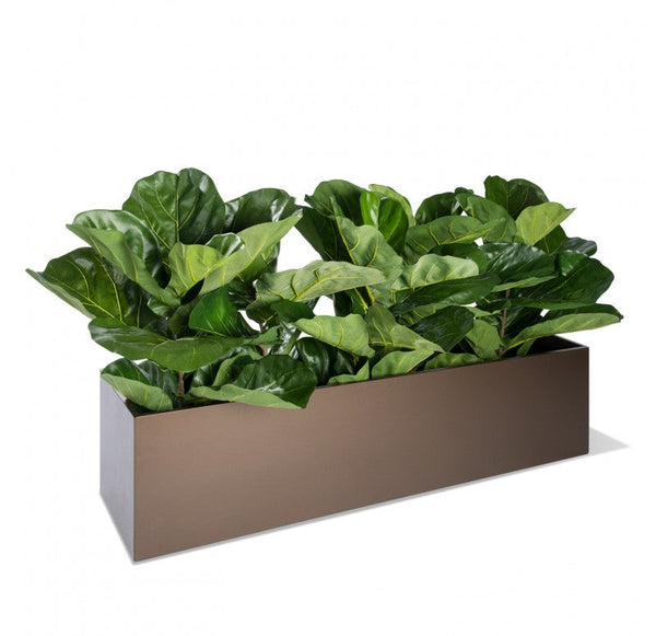 Fiddle Leaf, Linear Planter by Gold Leaf Design Group | Planters, Troughs & Cachepots | Modishstore-3