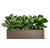 Fiddle Leaf, Linear Planter by Gold Leaf Design Group | Planters, Troughs & Cachepots | Modishstore