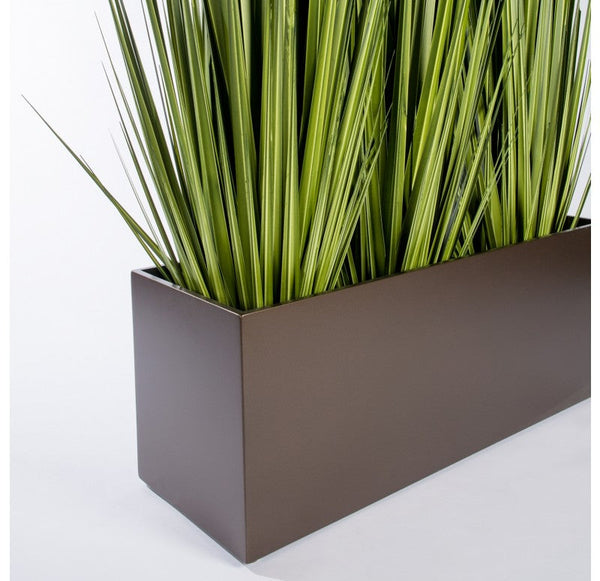 Grass: Potted Century Grass in Linear Planter, 38