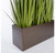 Grass: Potted Century Grass in Linear Planter, 38