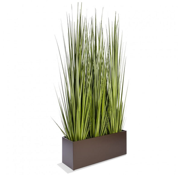 Grass: Potted Century Grass in Linear Planter, 38